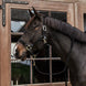 Kentucky Gevlochten Nylon halster