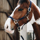 Kentucky Gevlochten Nylon halster