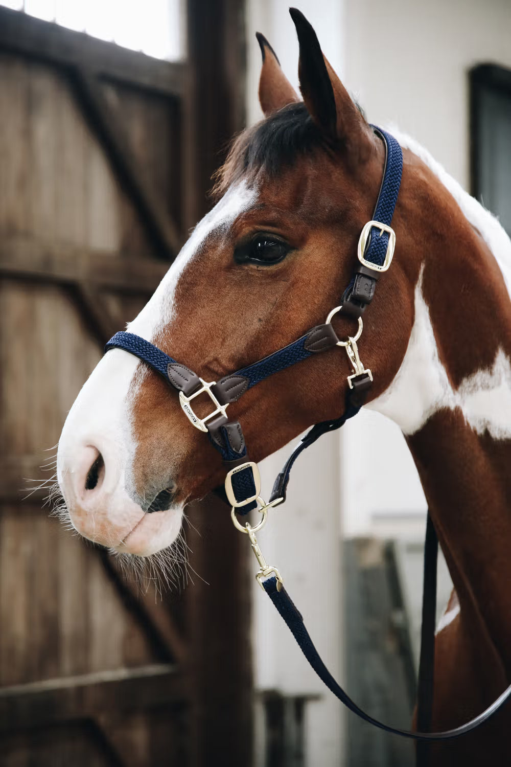 Kentucky Gevlochten Nylon halster
