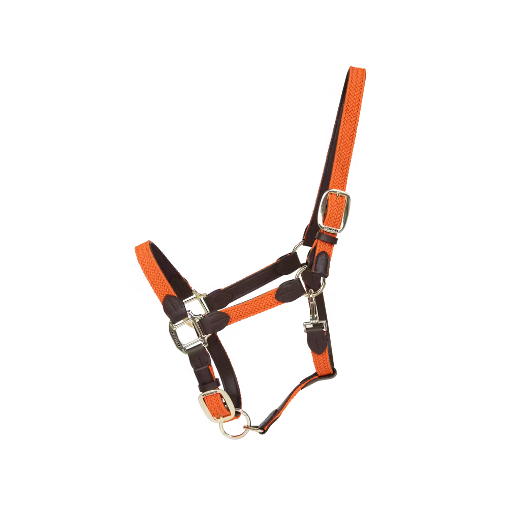Kentucky Gevlochten Nylon halster