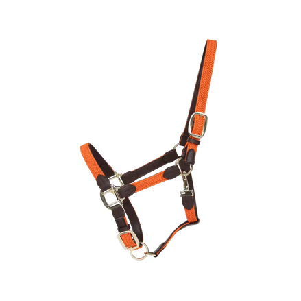 Kentucky Gevlochten Nylon halster