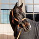 Kentucky Gevlochten Nylon halster