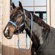 Kentucky Gevlochten Nylon halster