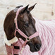 Kentucky Lead Rope Basic Halstertouw Sterk en Betrouwbaar Touwen - Maddelin Equestrian Kentucky