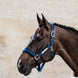 Kentucky Lead Rope Basic Halstertouw Sterk en Betrouwbaar Touwen - Maddelin Equestrian Kentucky