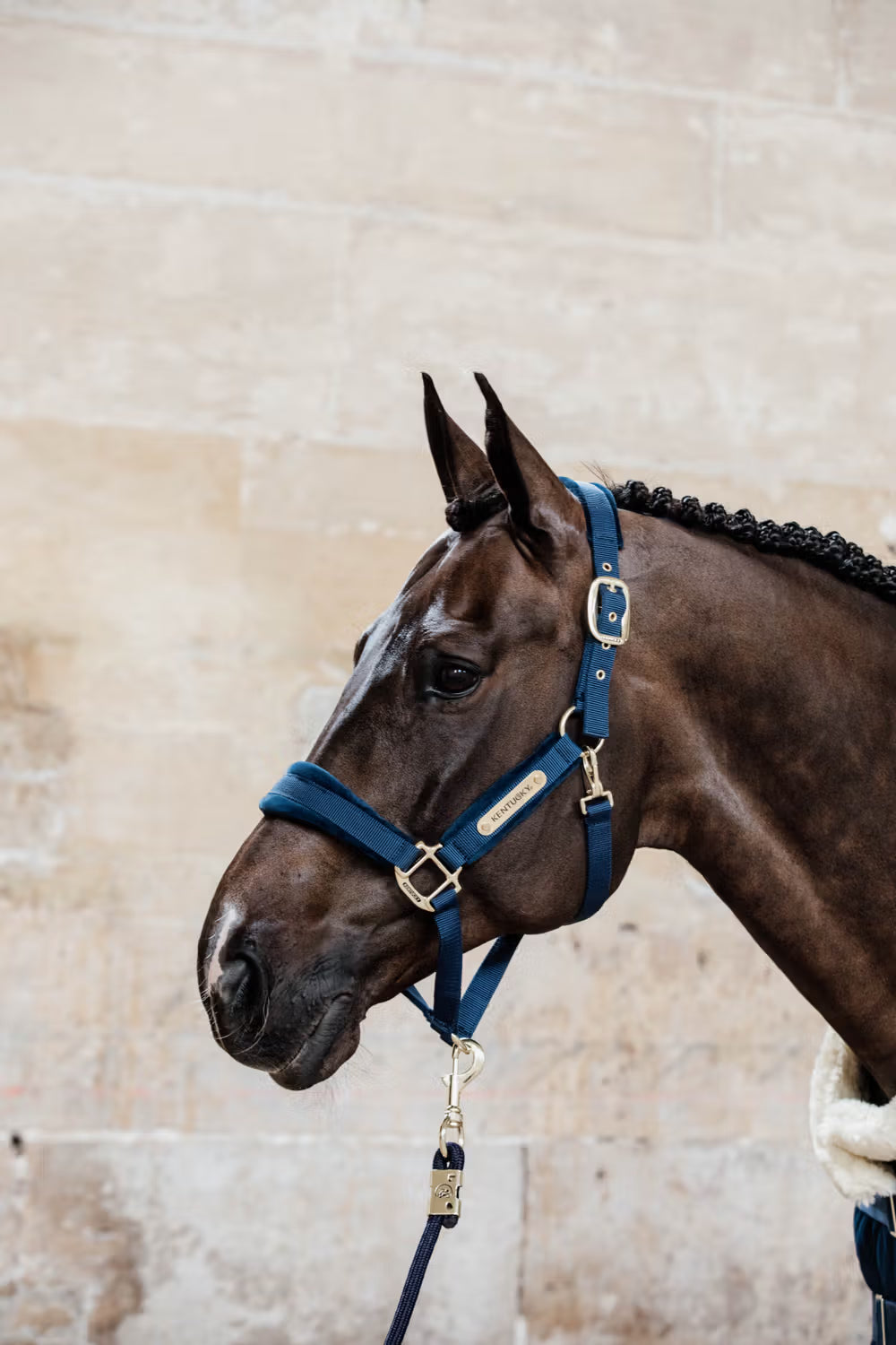 Kentucky Lead Rope Basic Halstertouw Sterk en Betrouwbaar Touwen - Maddelin Equestrian Kentucky