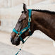 Kentucky Lead Rope Basic Halstertouw Sterk en Betrouwbaar Touwen - Maddelin Equestrian Kentucky