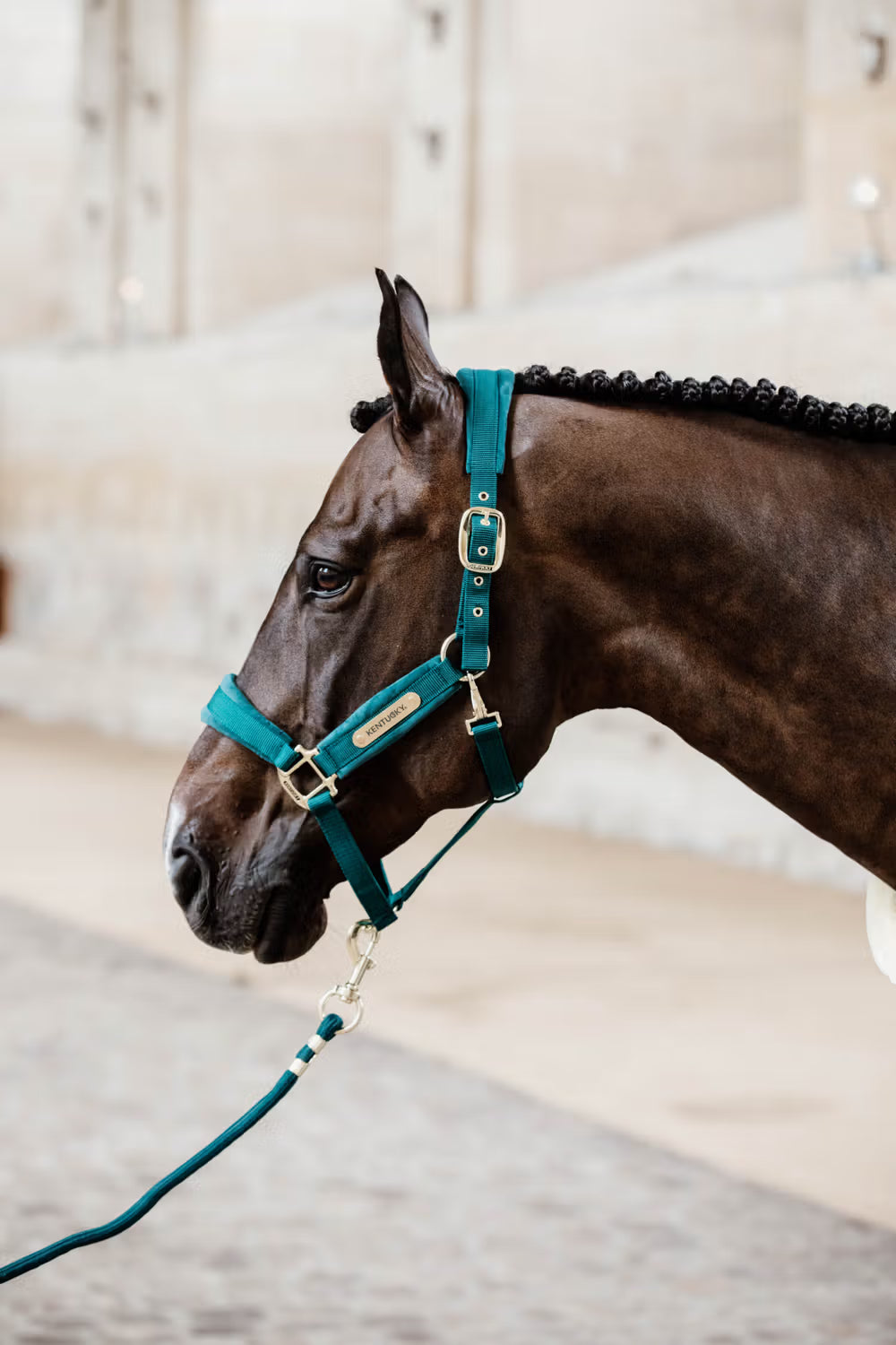 Kentucky Lead Rope Basic Halstertouw Sterk en Betrouwbaar Touwen - Maddelin Equestrian Kentucky