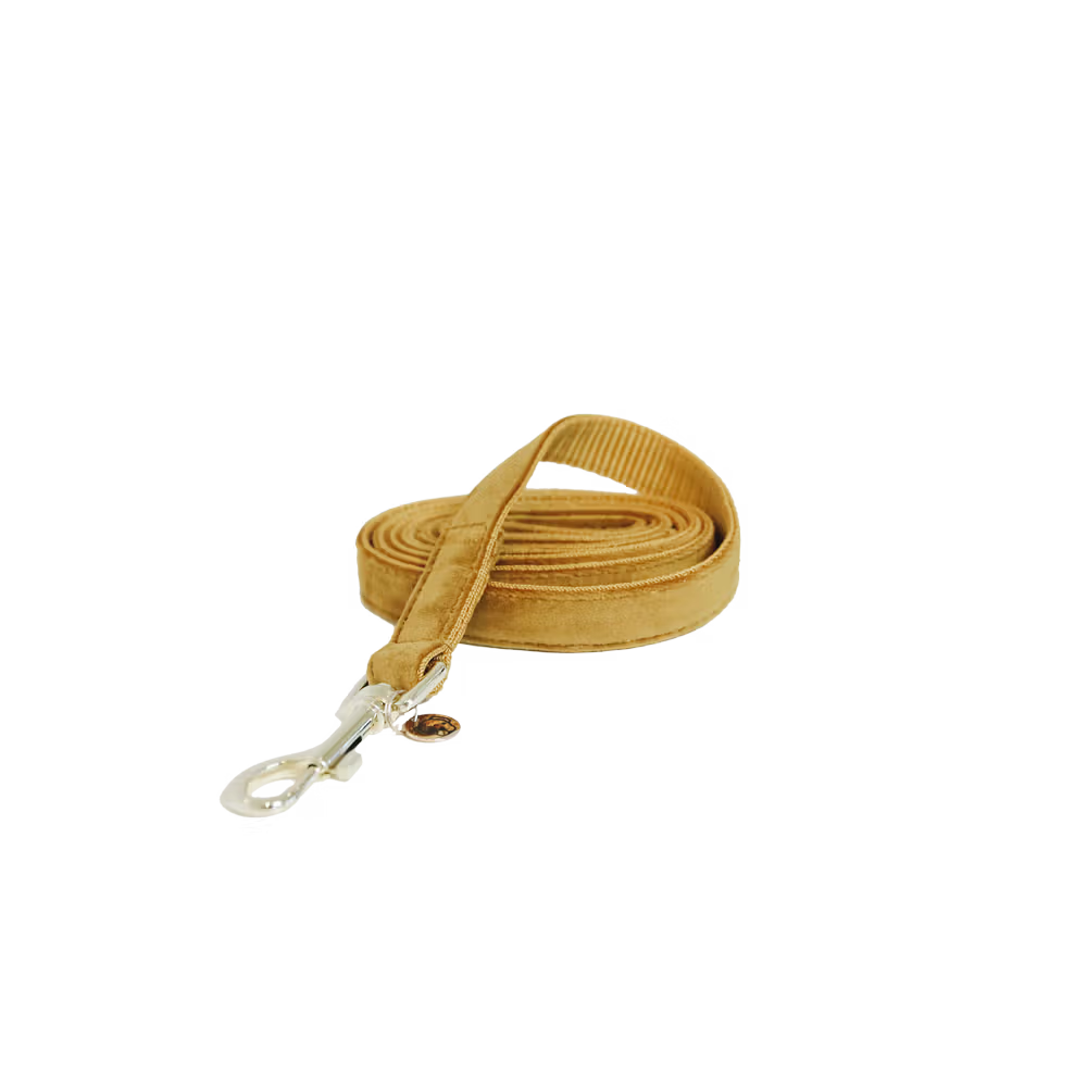 Kentucky Dog Leash Velvet – detailfoto 2