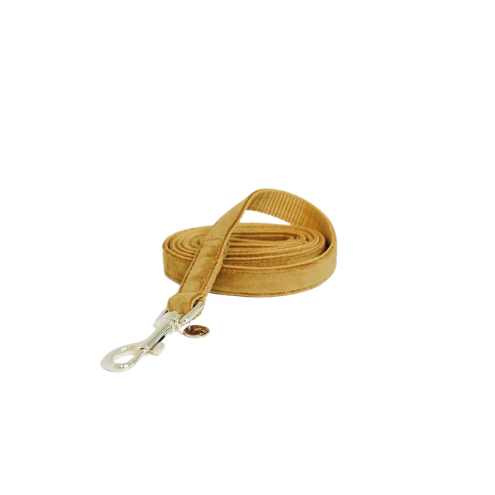 Kentucky Dog Leash Velvet – detailfoto 2