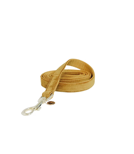 Kentucky Hundeleine Samt 