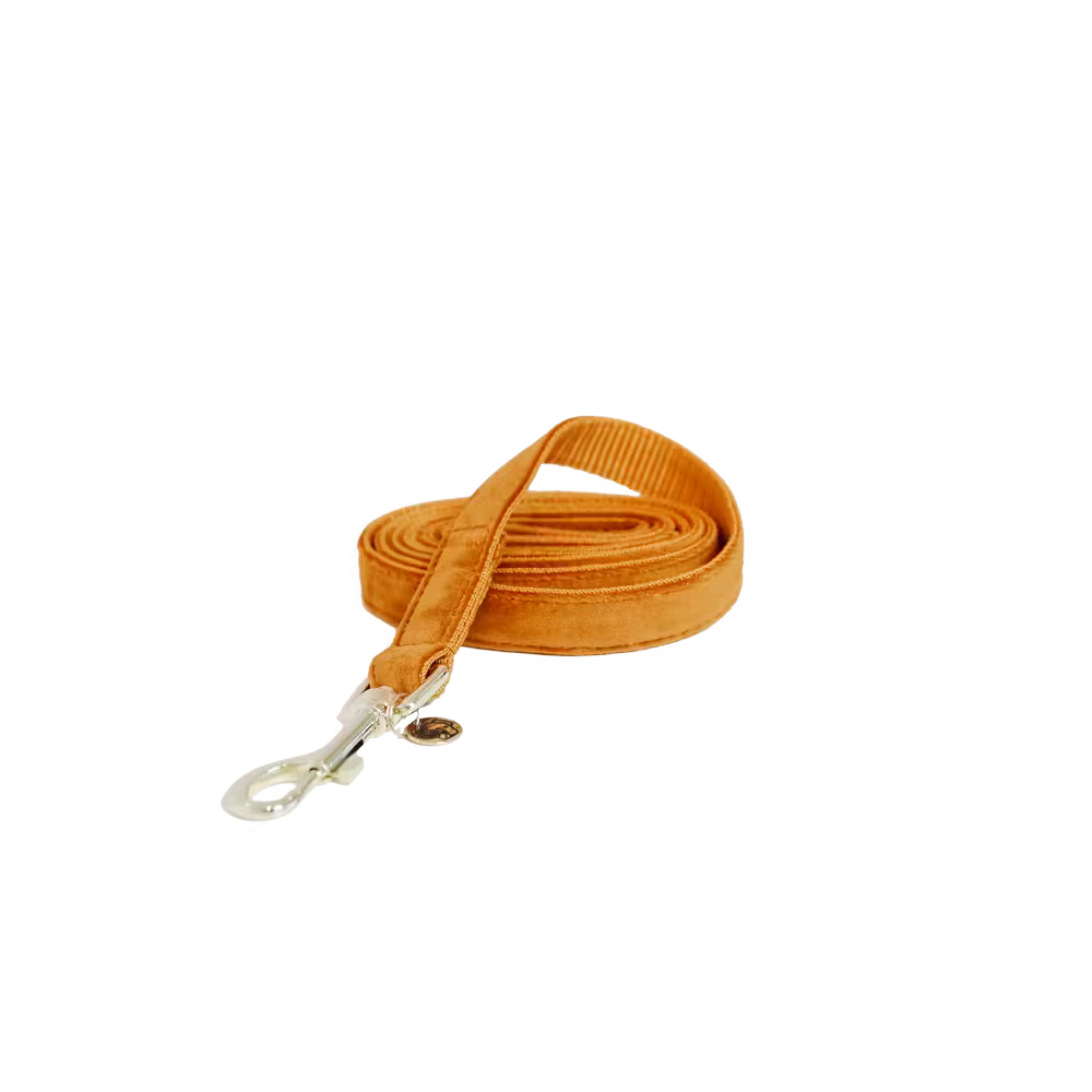 Kentucky Dog Leash Velvet – detailfoto 3