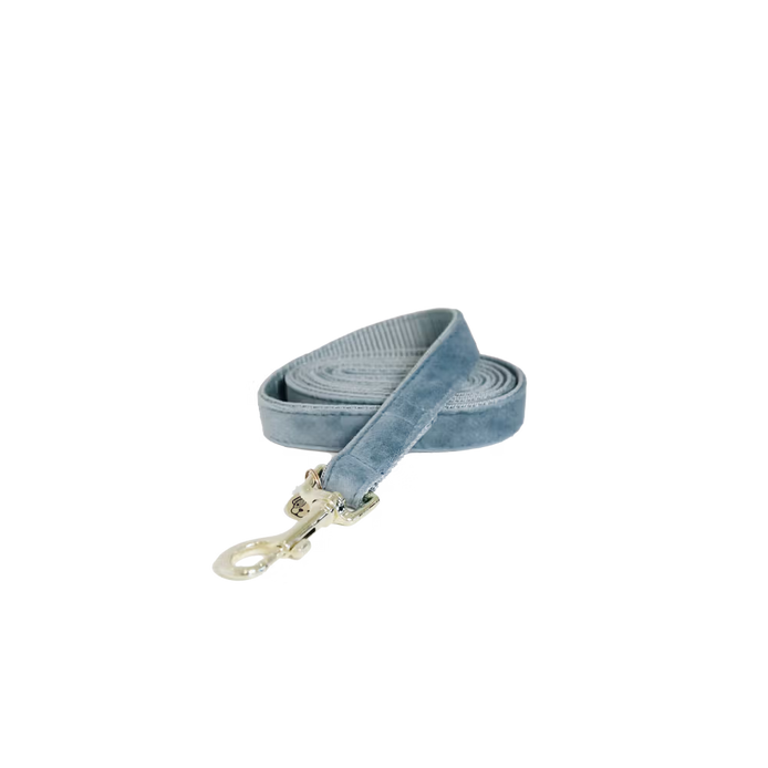 Kentucky Dog Leash Velvet – hondenkleding | Maddelin Equestrian