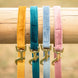 Kentucky Dog Leash Velvet – detailfoto 9