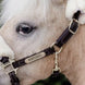 Kentucky Leder halster + wol (afneembaar) – detailfoto 2
