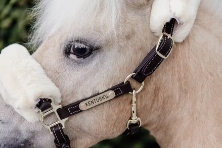 Kentucky Leder halster + wol (afneembaar)