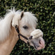 Kentucky Leder halster + wol (afneembaar) – detailfoto 4