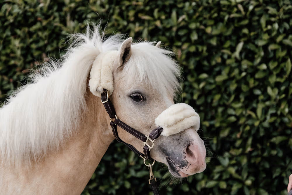 Kentucky Leder halster + wol (afneembaar) – detailfoto 4
