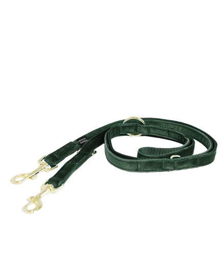 Laisse pour chien Kentucky en velours ajustable