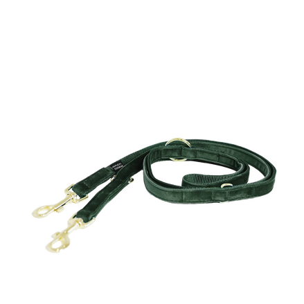Kentucky Dog Leash Velvet Adjustable