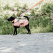 Kentucky Dog Coat Waterdicht 160gr – detailfoto 4