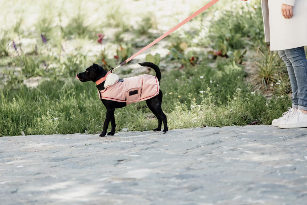 Kentucky Dog Coat Waterdicht 160gr – detailfoto 4