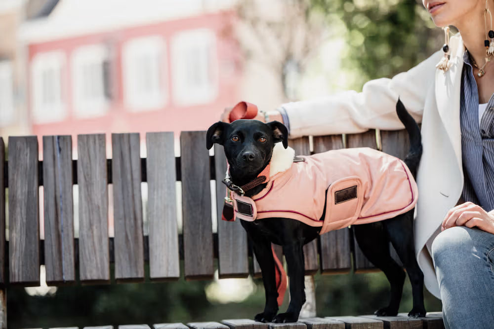Kentucky Dog Coat Waterdicht 160gr – detailfoto 5