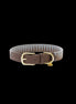 Kentucky Leiband Hond triangle