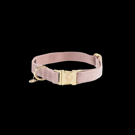 Kentucky Hondenhalsband Velvet