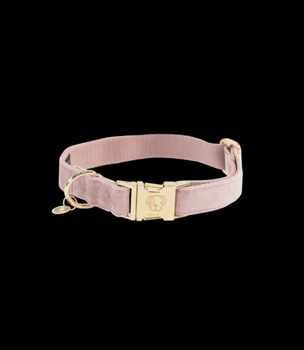 Kentucky Hondenhalsband Velvet