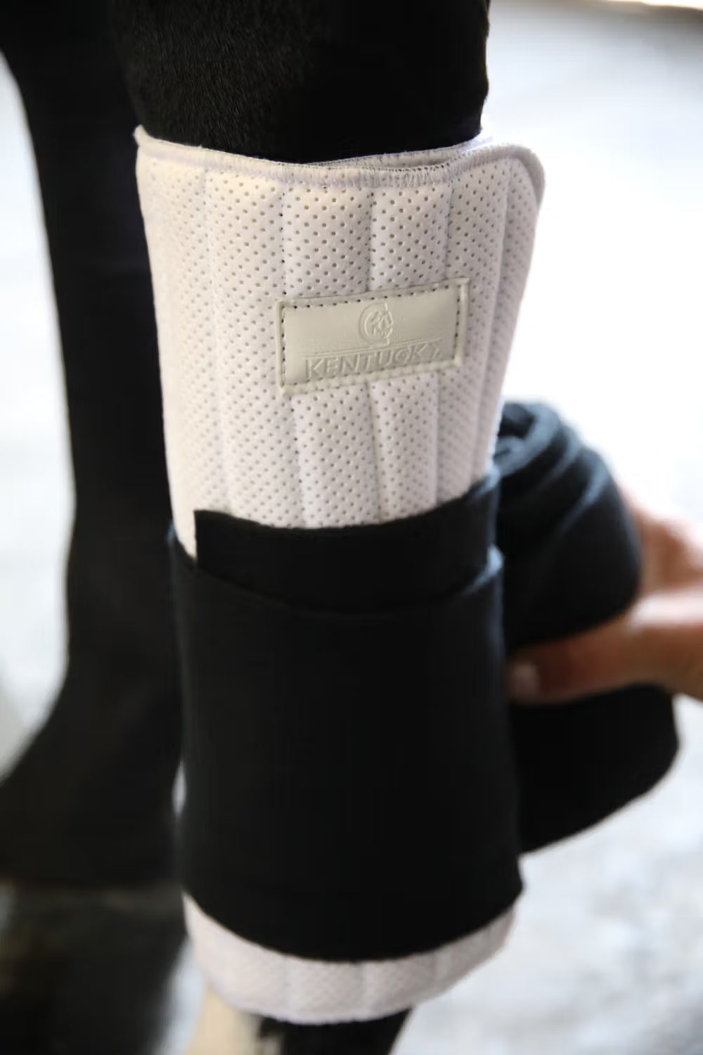 Kentucky Onderbandages Absorb Set of 4 – detailfoto 3