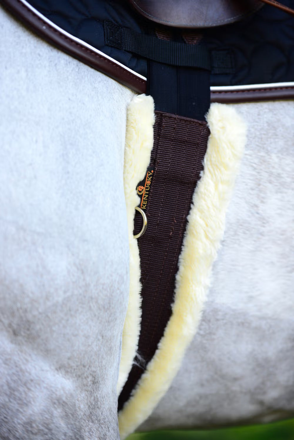 Kentucky Singel wol/Bont – detailfoto 14