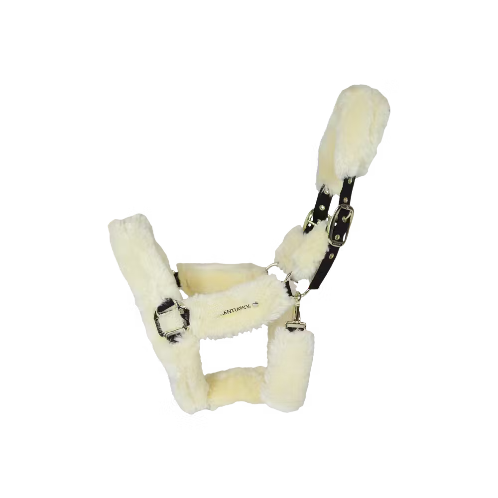 Kentucky Wollen Transport Halster – halster met bont | Maddelin Equestrian