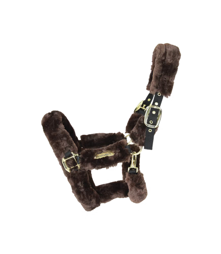 Kentucky Wool Transporthalfter