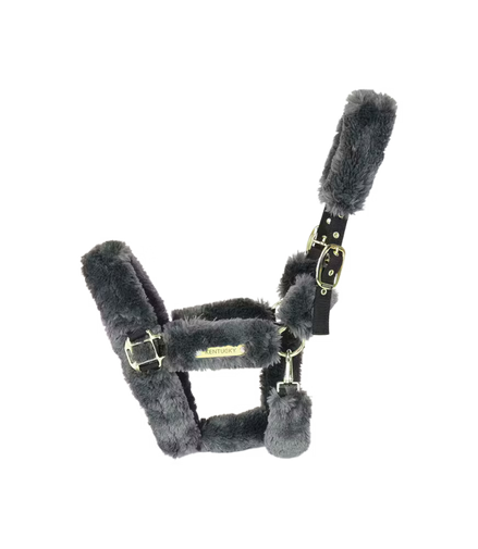 Kentucky Wool Transporthalfter