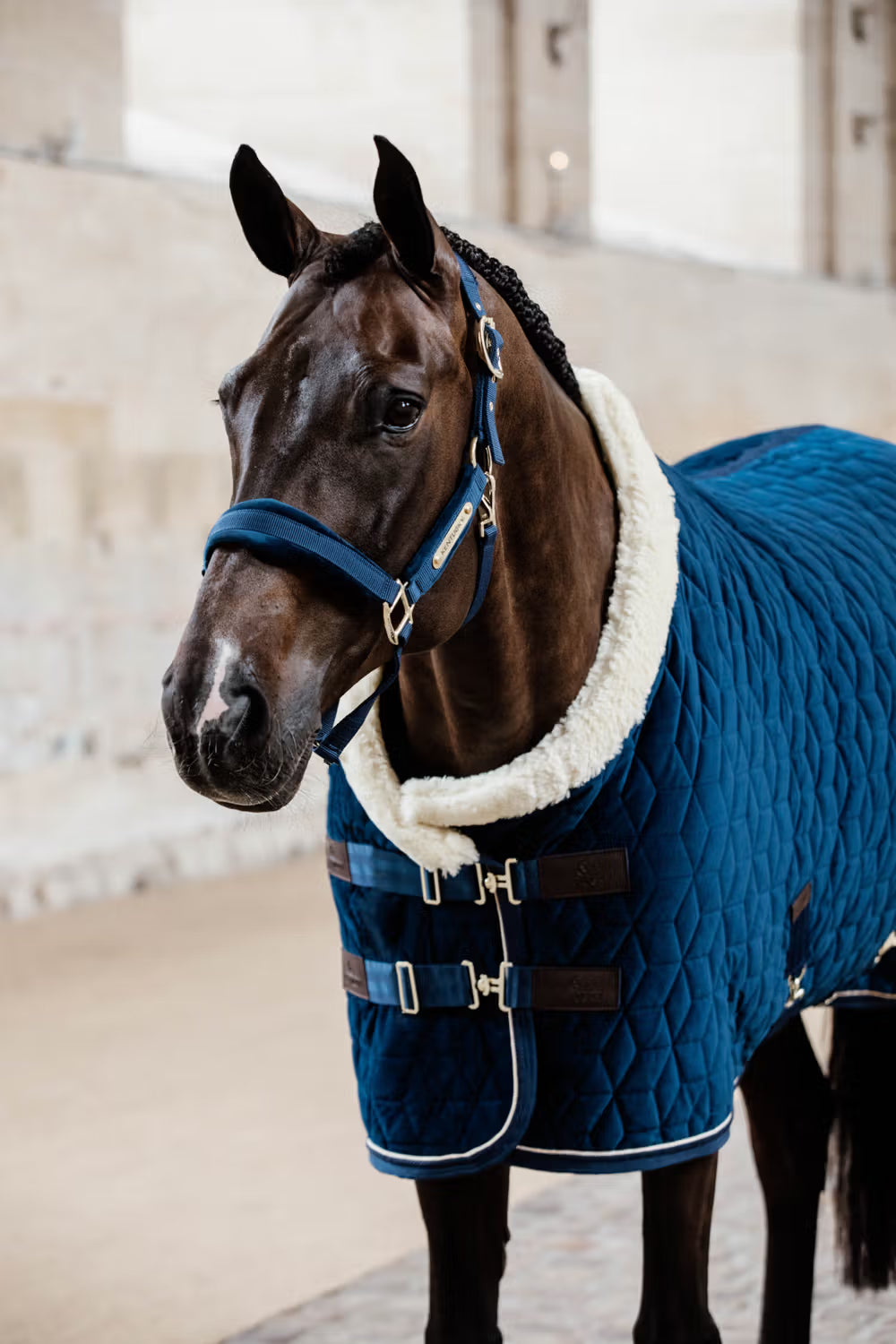 Kentucky Velvet Halster