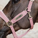Kentucky Velvet Halster