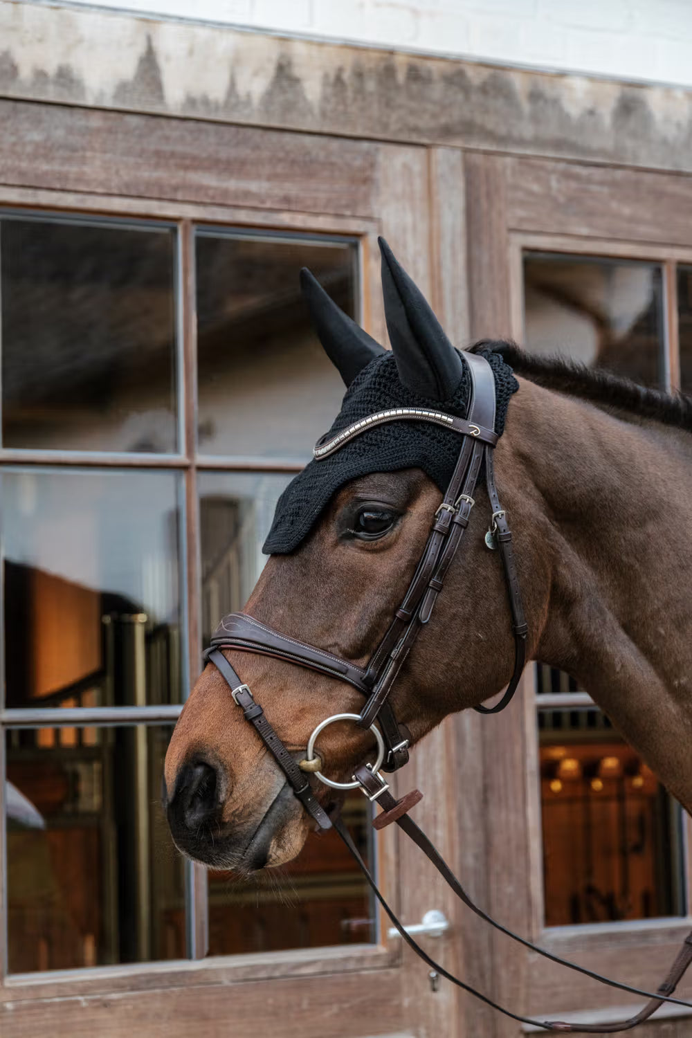 Kentucky Oornetje Wellington Soundless – detailfoto 7