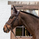 Kentucky Oornetje Wellington – detailfoto 7