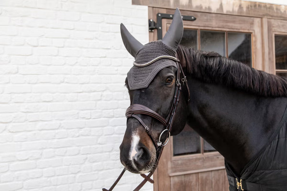 Kentucky Oornetje Wellington – detailfoto 8