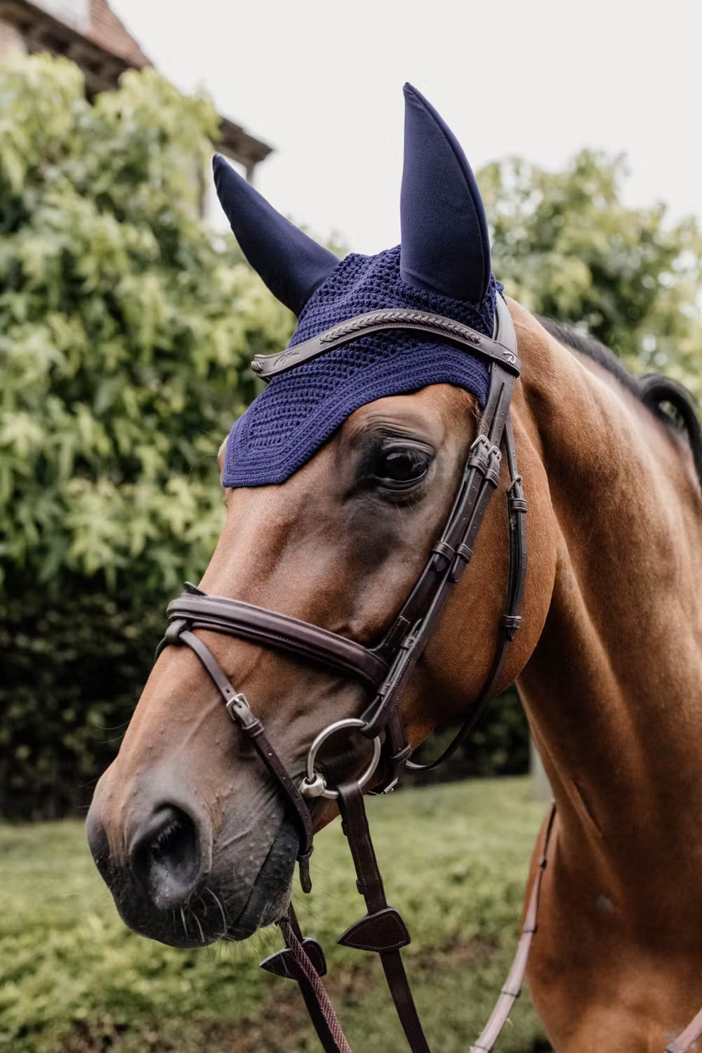 Kentucky Oornetje Wellington Soundless – detailfoto 4