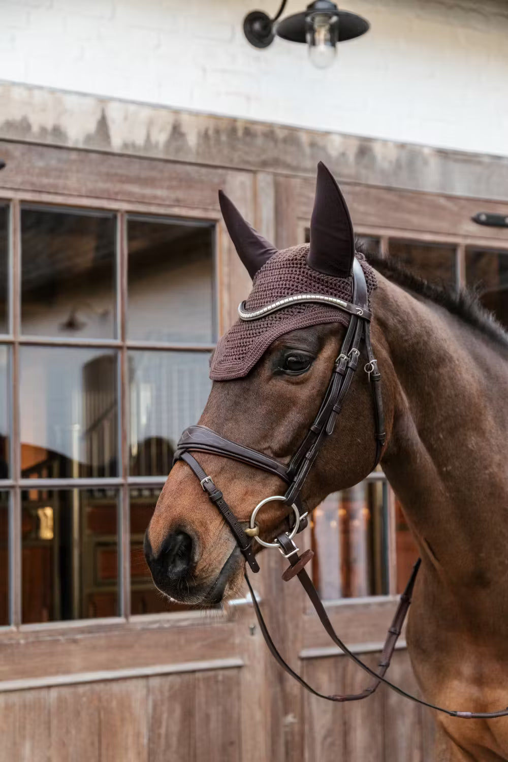 Kentucky Oornetje Wellington Soundless – detailfoto 5