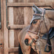 Kentucky Oornetje Long Stone & Pearl – detailfoto 5