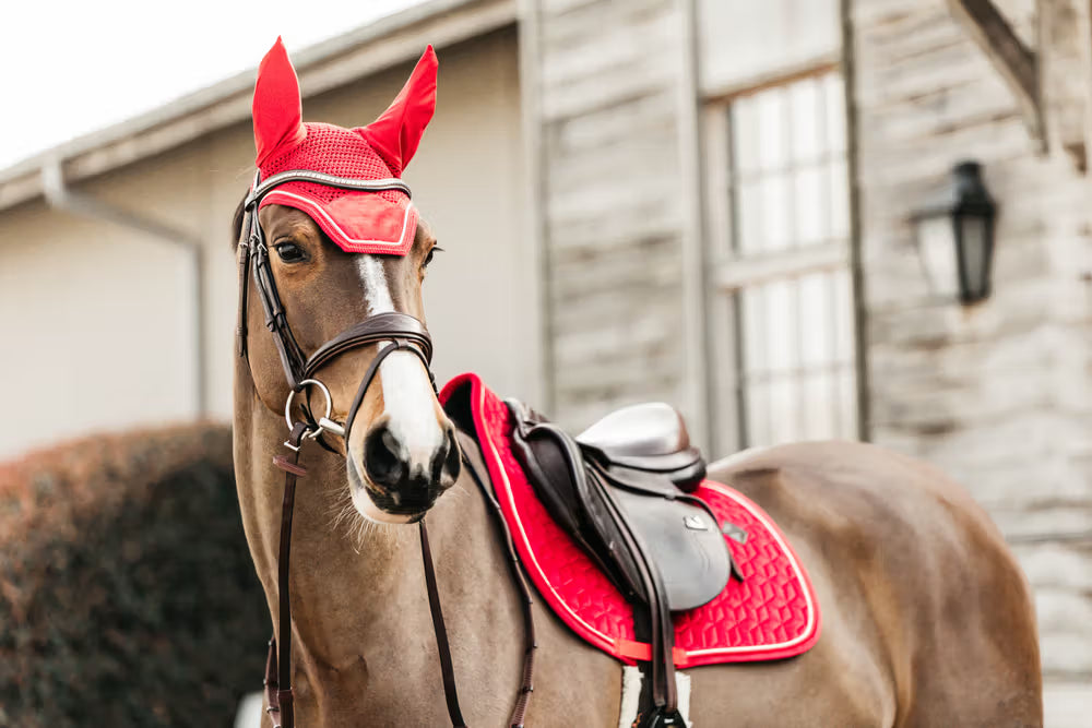 Kentucky Oornetje Wellington Velvet – detailfoto 9