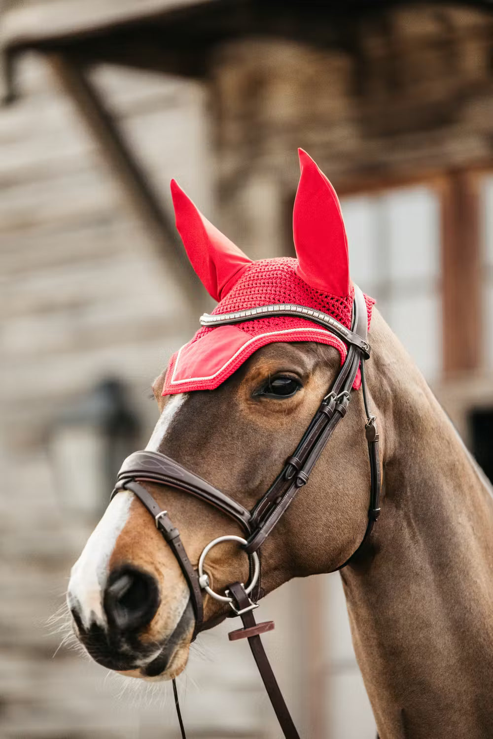 Kentucky Oornetje Wellington Velvet – detailfoto 8
