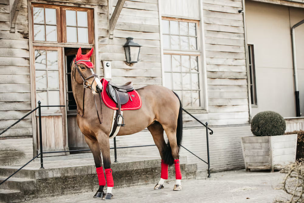 Kentucky Oornetje Wellington Velvet – detailfoto 7