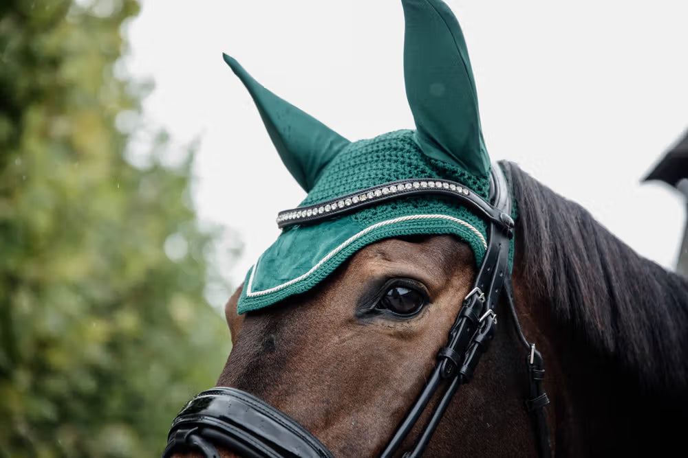 Kentucky Oornetje Wellington Velvet – detailfoto 13