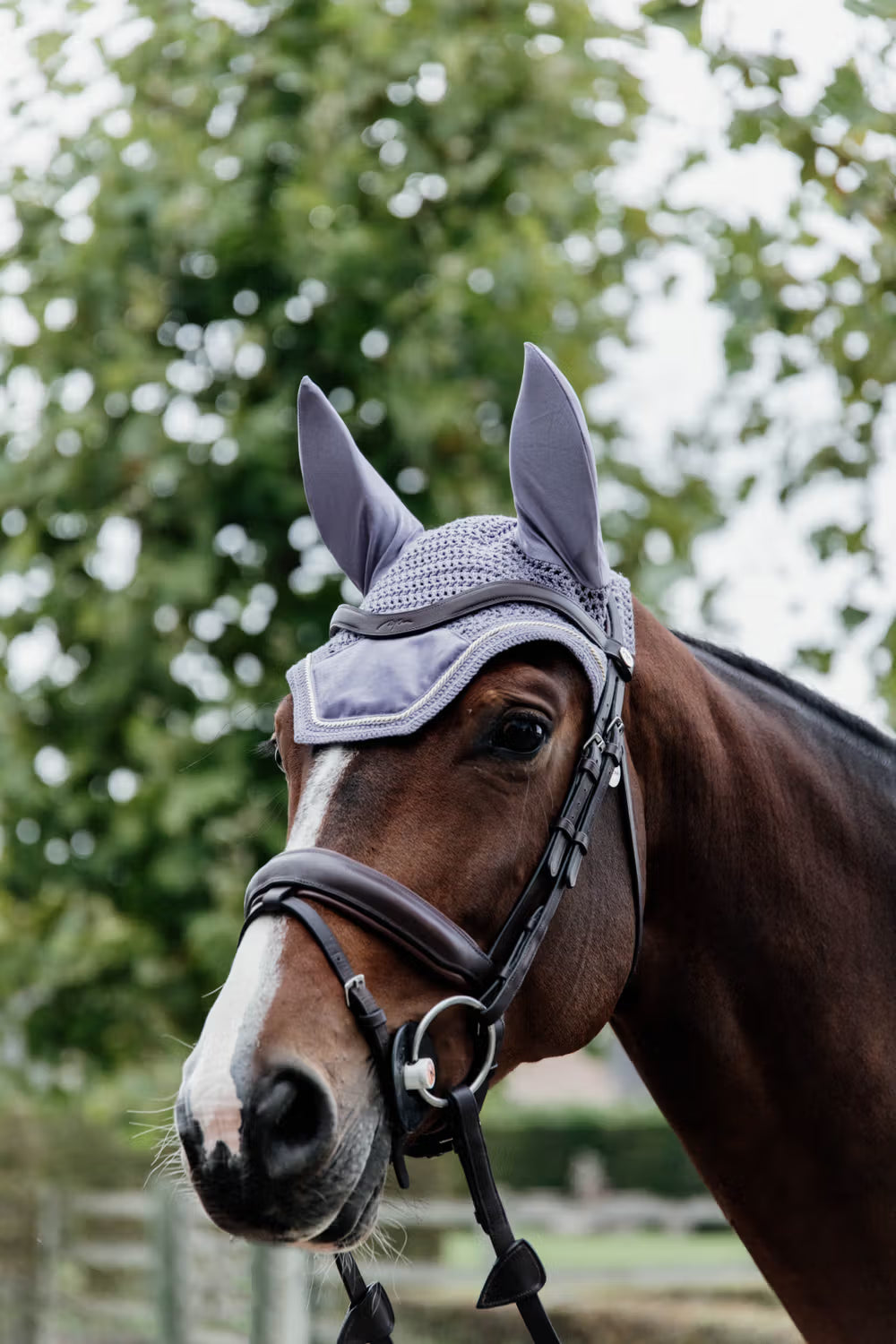 Kentucky Oornetje Wellington Velvet – detailfoto 6