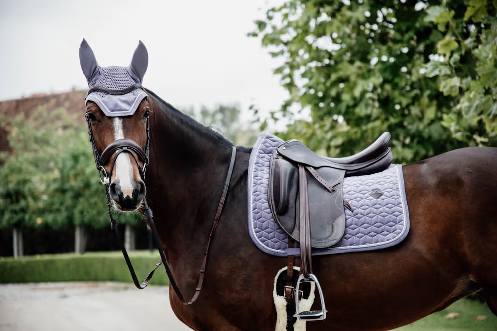 Kentucky Oornetje Wellington Velvet – detailfoto 5