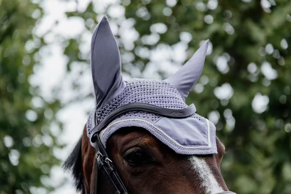 Kentucky Oornetje Wellington Velvet – detailfoto 4